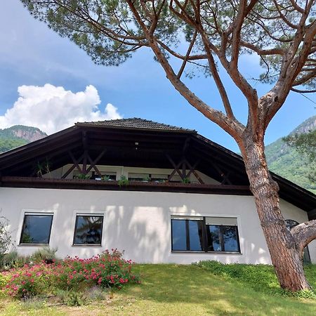 Villa Pinie Apt 1 Terlano Eksteriør bilde